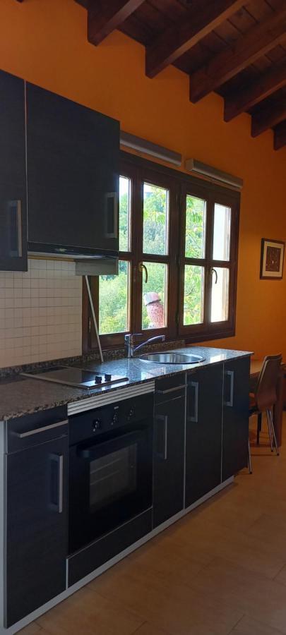 Apartamentos Rurales La Gueertona Ardines エクステリア 写真